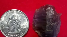 2012-01-12_09-55-38_527 (800x446) (2).webp