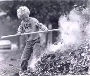 leaf burning.webp