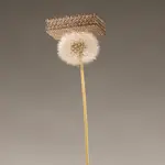 jw4ec64e1a.webp