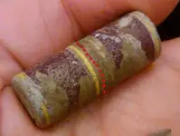 What Is It mystery tube - Painted.webp