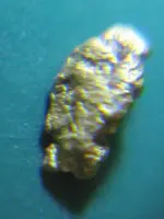 first gold_9.webp