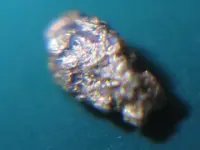 first gold_12.webp