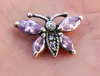 Butterfly 1-9-12sm.webp