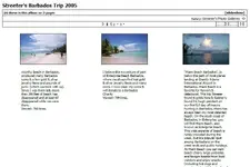 SNAG-0001.webp