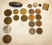 6 Dec 2011 Park Finds.webp