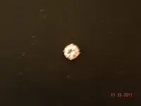 DSCN0418.webp