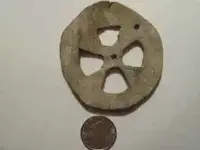 artifact ocala.webp
