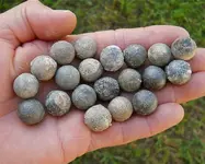 20 musket balls.webp