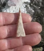 Insitu pinellas 021.webp
