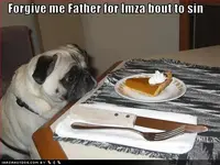 funny-dog-pictures-forgive-sin.webp