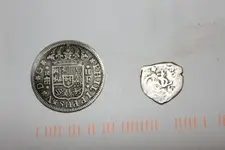 Coin.webp