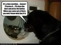 funny-dog-pictures-time-machine.webp