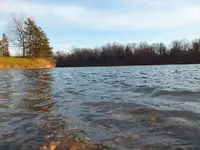 level with the lake.webp
