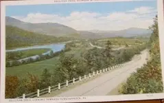 84_1.webp