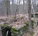 IMG_0857[1].webp