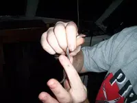 babyeel.webp