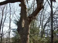 01 10 2007 006.webp