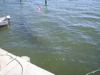 sunk28sailboat.webp