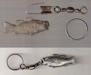 fishkey.webp