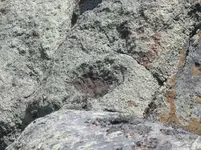 heart hole.webp