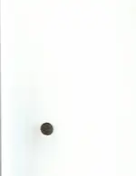 trinket 002.webp
