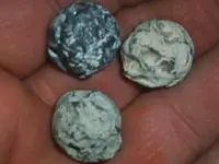 chewed balls.webp