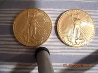 Gold find-Big Sky 010.webp