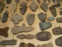 Toms.webp
