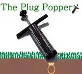 plugcring.webp