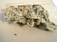 Picture 146.webp