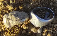 Ring Gold Class Hunt Best.webp