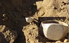 Ring White Gold Unmarked.webp