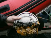 Duraline Plate.webp