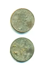 Nasty Clad Dug Pennies.webp