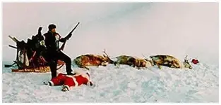 santa_shoot.webp