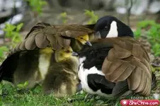 Untitled23.webp