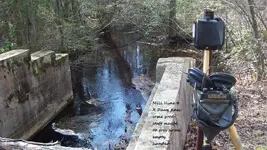 Mill Hunt X.webp
