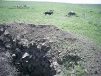 Untitled-1.webp