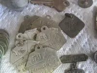 11-19 dog tags.webp