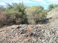 100_1385.webp