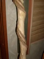 S6302728 (480x640).webp