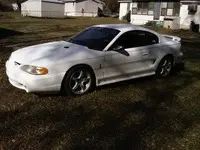 whitecobra.webp