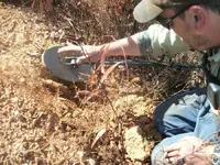 100_1401.webp