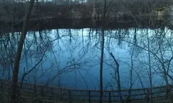 IMAG0462.webp IMAG0462.webp