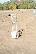 mine_field_dolly.webp