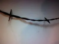 0113120850a.webp