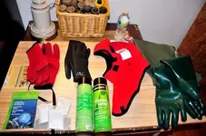 winter gear gloves.webp