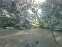 IMG00507-20120113-1102.webp