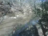 IMG00516-20120113-1124.webp