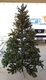 Christmas Tree.webp
